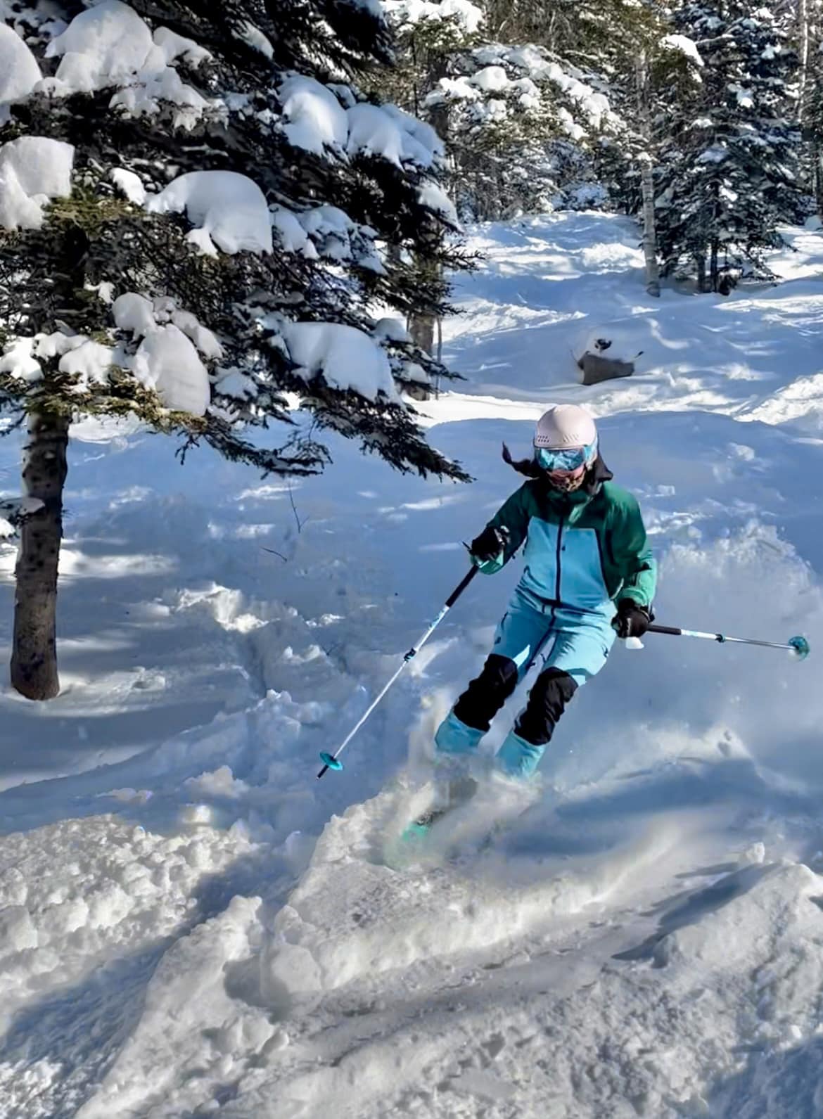 EN VOULEZ VOUS DE LA NEIGE?