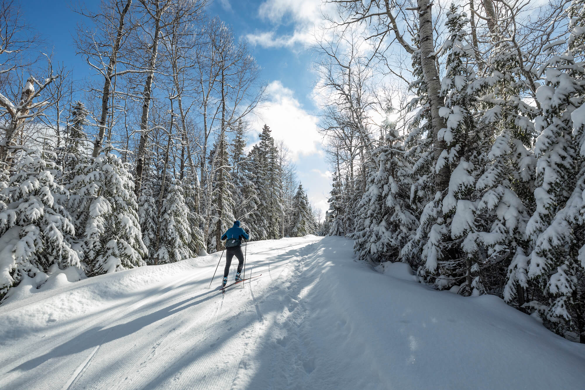 EN VOULEZ VOUS DE LA NEIGE?