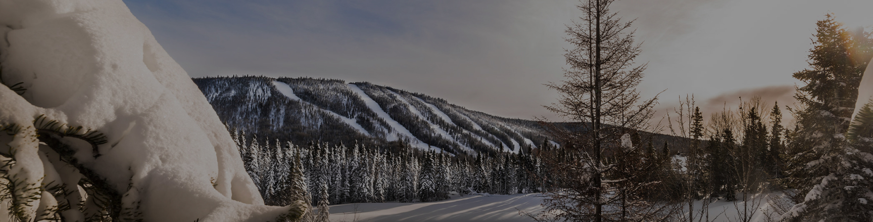 CYBER MONDAY-Tout Les Lifts Billets